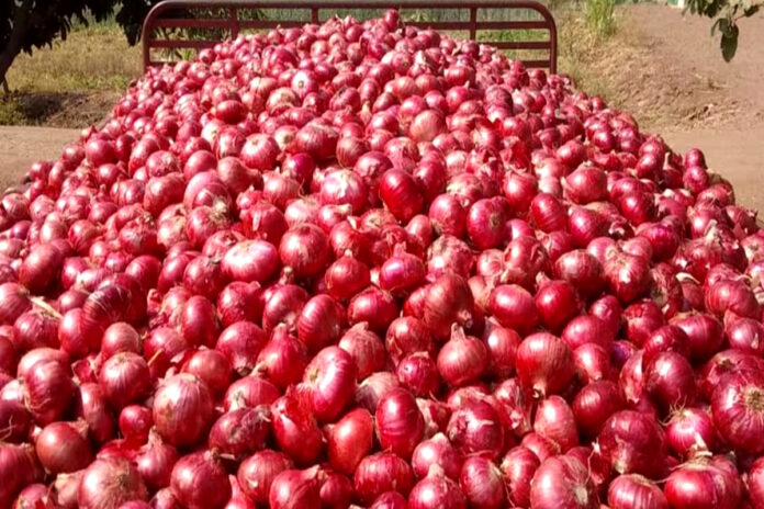 Onion Export Ban: Big decision of Central Government, ban on onion export will continue