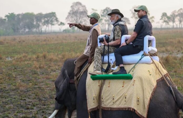 PM Modi at kaziranga park: pm modi went for early morning walk at kaziranga park in assam-riding elephant