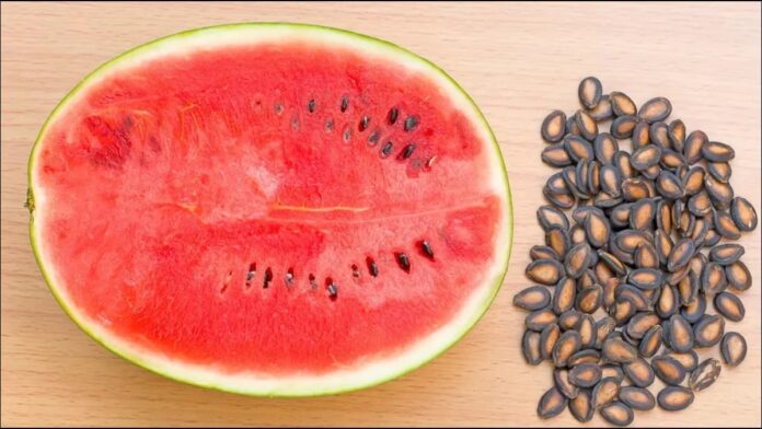 watermelon seeds health benefits