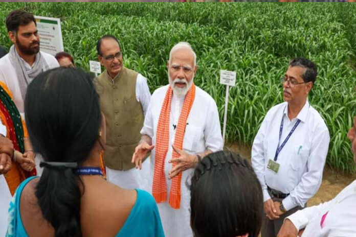 Modi govt gift to farmers before Diwali