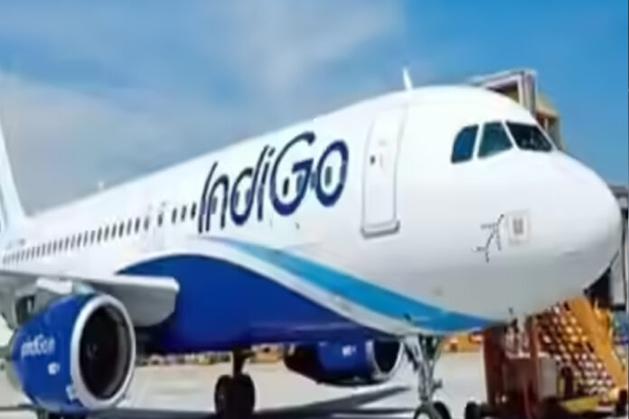 Indigo
