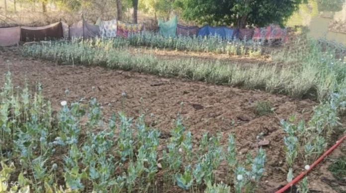 छत्तीसगढ़