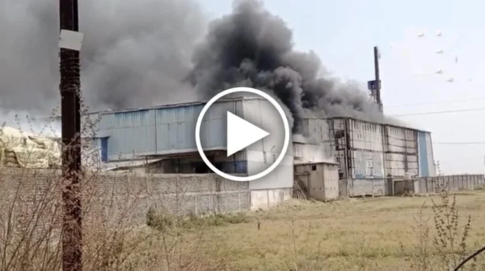 राइस मिल