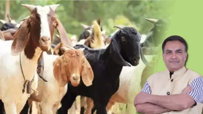Eid