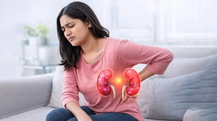 Kidney