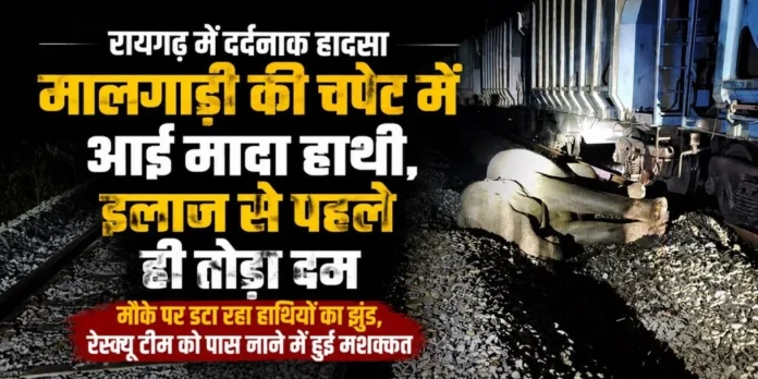 रायगढ़