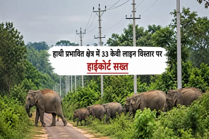 हाथी