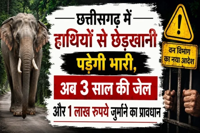 हाथियों