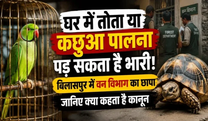 बिलासपुर
